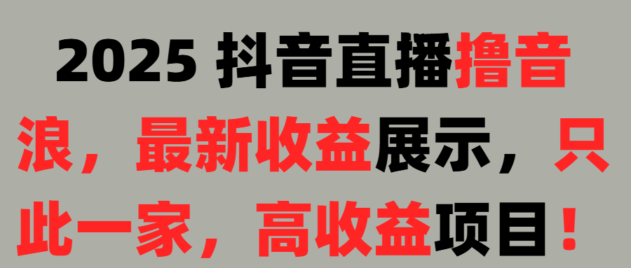 2025 抖音直播撸音浪，最新收益展示，只此一家，高收益项目！
