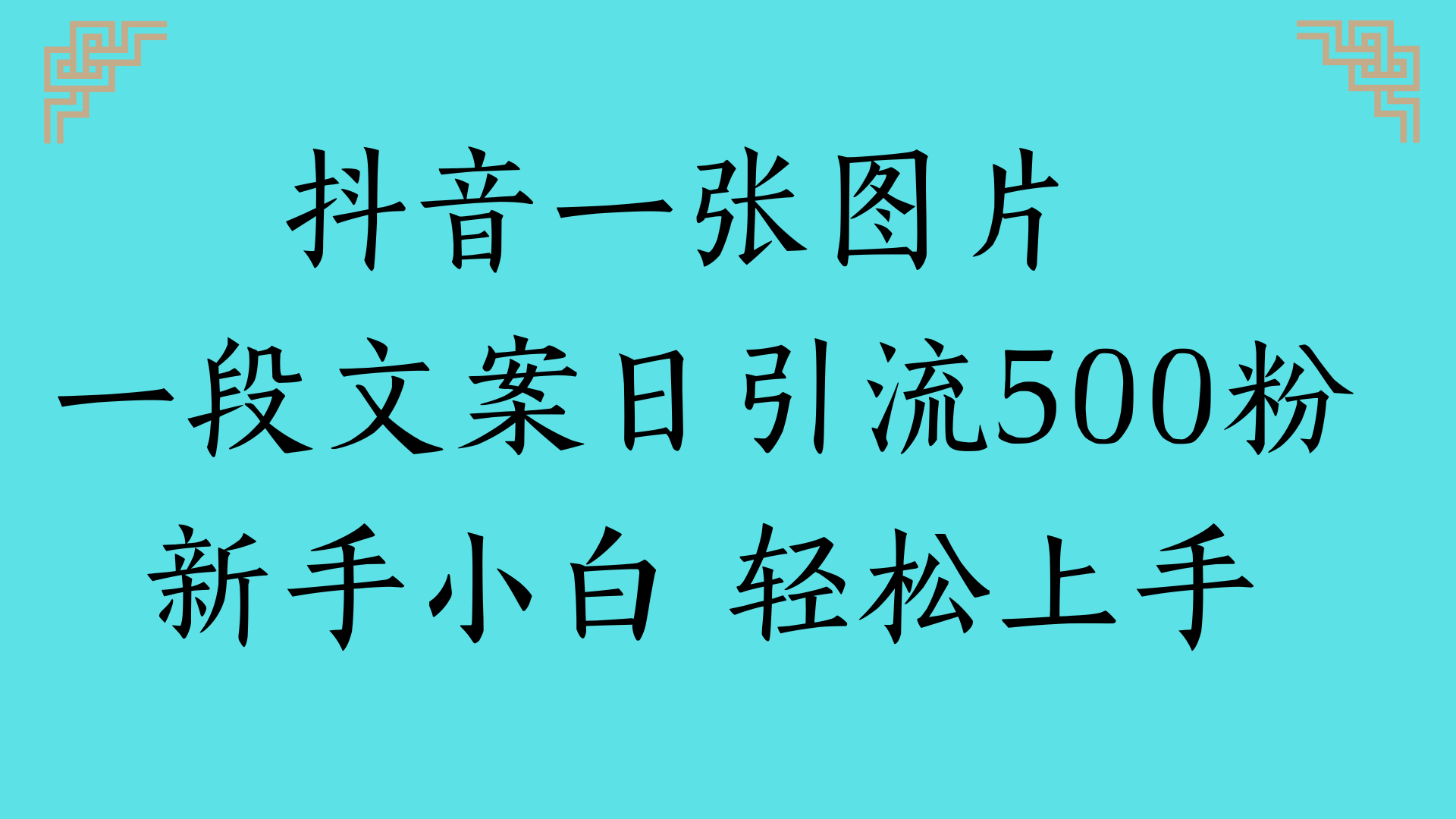 抖音平台，只需一张图片搭配一段文案，新手小白也能轻松做到每日引流 500 粉丝，操作简单极易上手 。