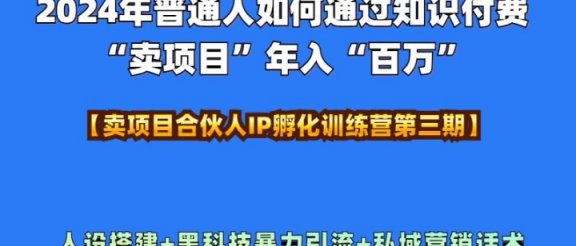 2024年普通人如何通过知识付费“卖项目”年入“百万”人设搭建-黑科技暴力引流-全流程