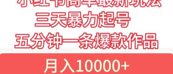 小红书商单最新玩法 3天暴力起号 5分钟一条爆款作品 月入10000+