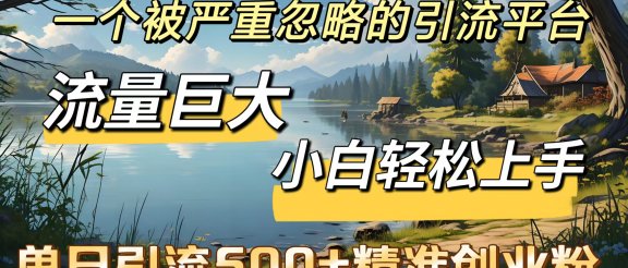 一个被严重忽略的引流平台，流量巨大，小白轻松上手，单日引流500＋精准创业粉