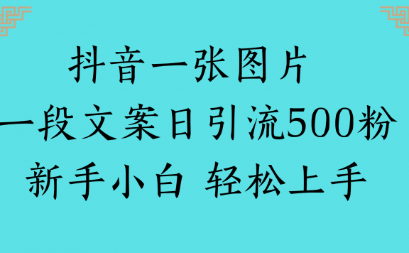 抖音平台，只需一张图片搭配一段文案，新手小白也能轻松做到每日引流 500 粉丝，操作简单极易上手 。